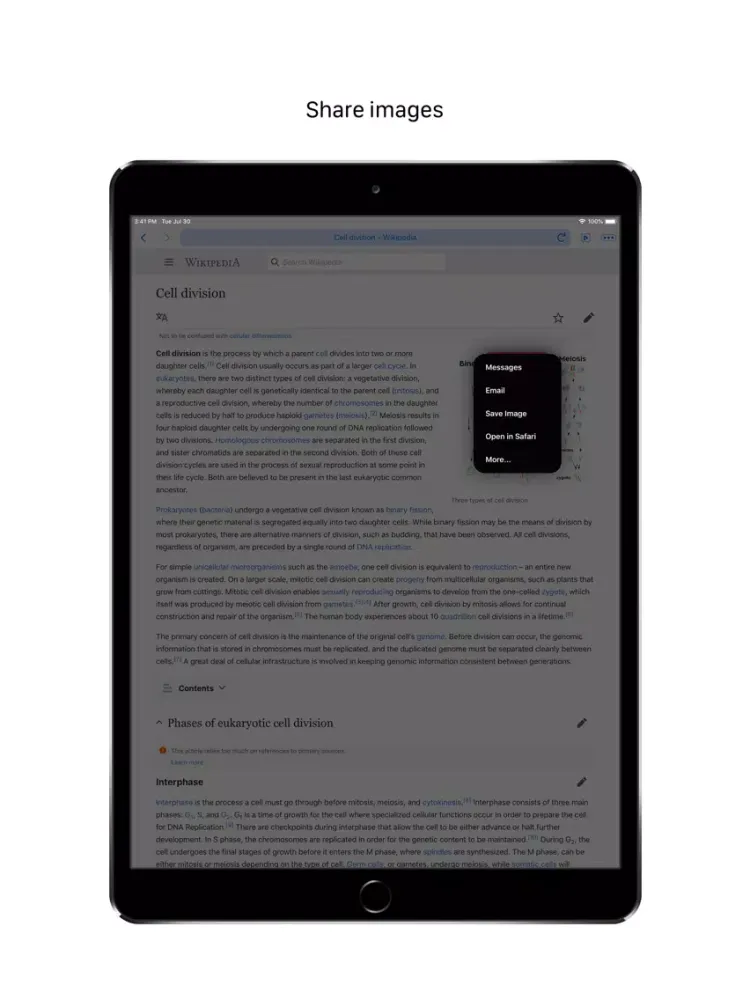Скриншоты Quick - Fast Default Browser iPad 