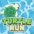 Turtle run!!