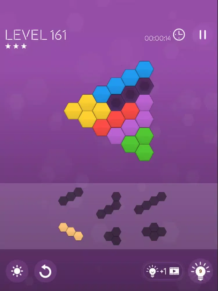 ภาพหน้าจอของ Block Puzzle Hexa Master iPad 
