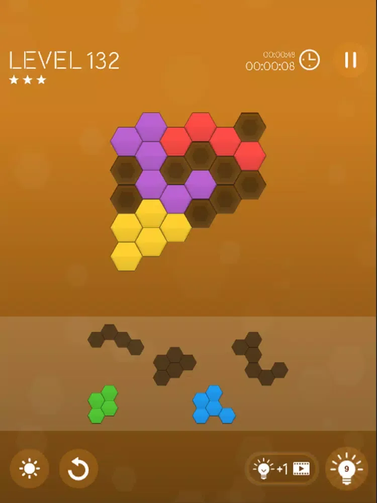 ภาพหน้าจอของ Block Puzzle Hexa Master iPad 