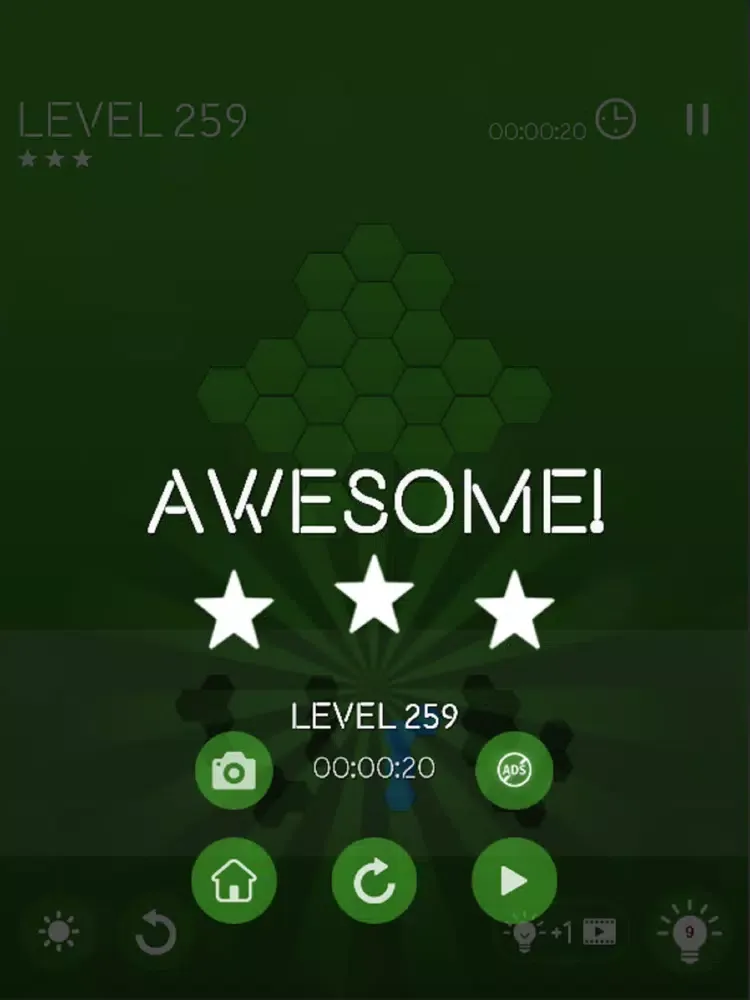 ภาพหน้าจอของ Block Puzzle Hexa Master iPad 