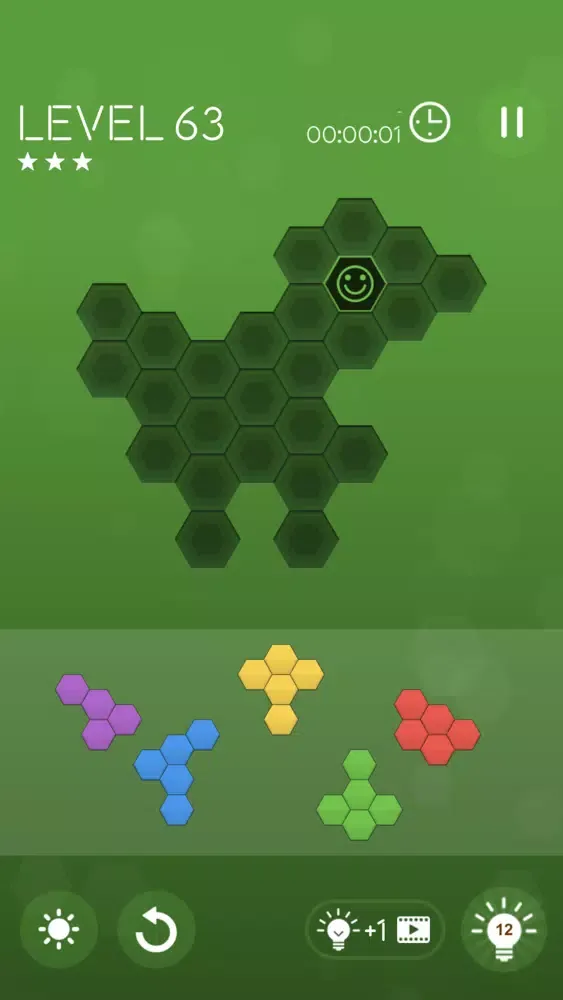 ภาพหน้าจอของ Block Puzzle Hexa Master