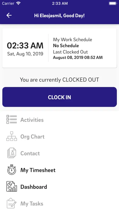 Screenshot di My Timesheet (Witty)