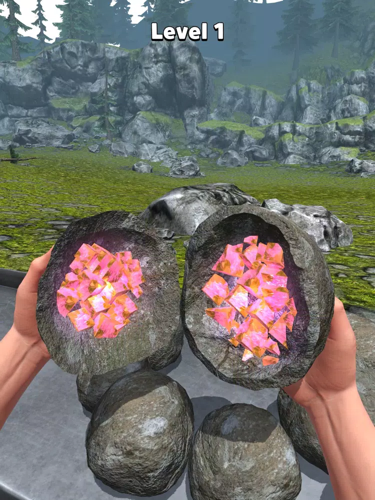 Geode Hunting iPad 應用截圖