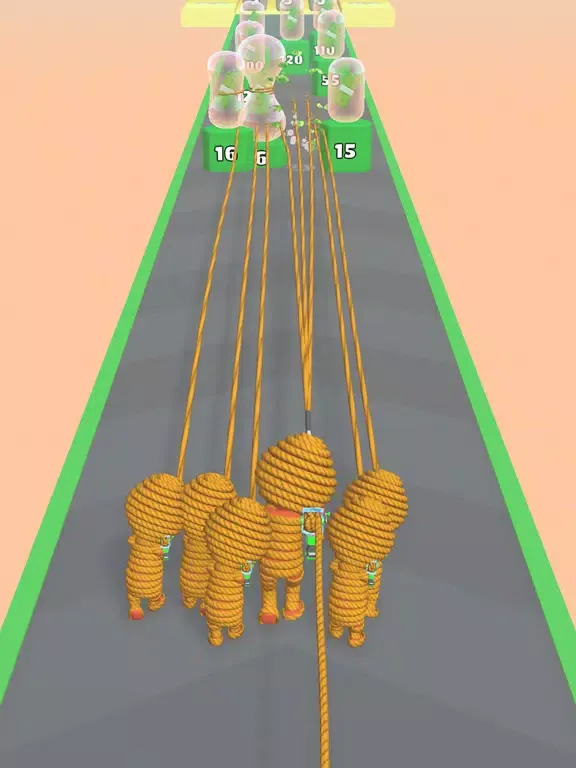Rope Gun Run iPad  স্ক্রিনশট