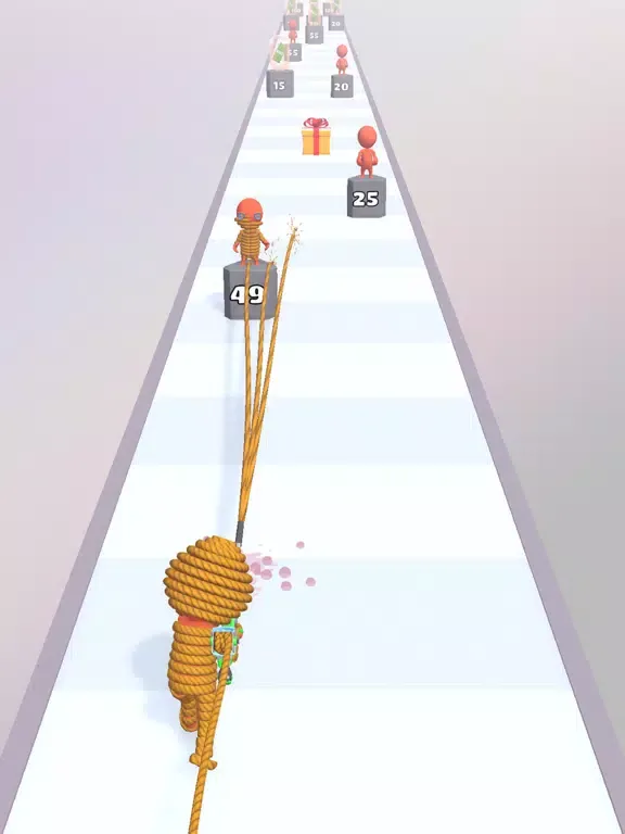 Rope Gun Run iPad  স্ক্রিনশট