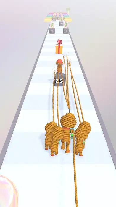 Rope Gun Run স্ক্রিনশট