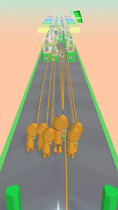 Rope Gun Run স্ক্রিনশট