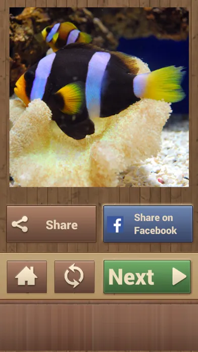 Zrzuty ekranu Animal Puzzle Games - Fun Jigsaw Puzzles
