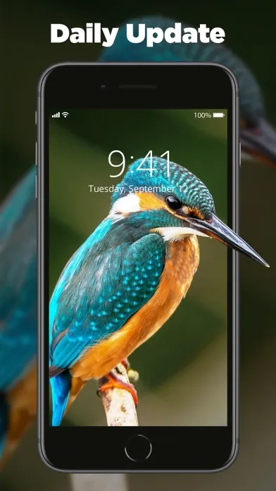 Tangkapan layar SnapPic - New Color Wallpapers