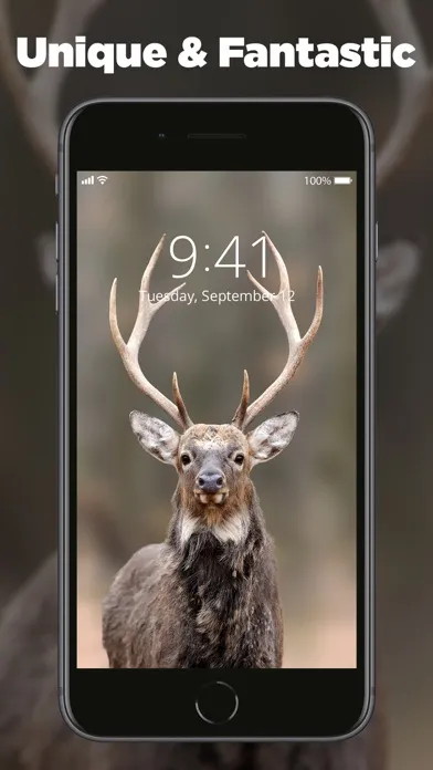 Tangkapan layar SnapPic - New Color Wallpapers