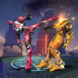 Robot Fighting Kung Fu Karate Robot Fighting Kung Fu Karate