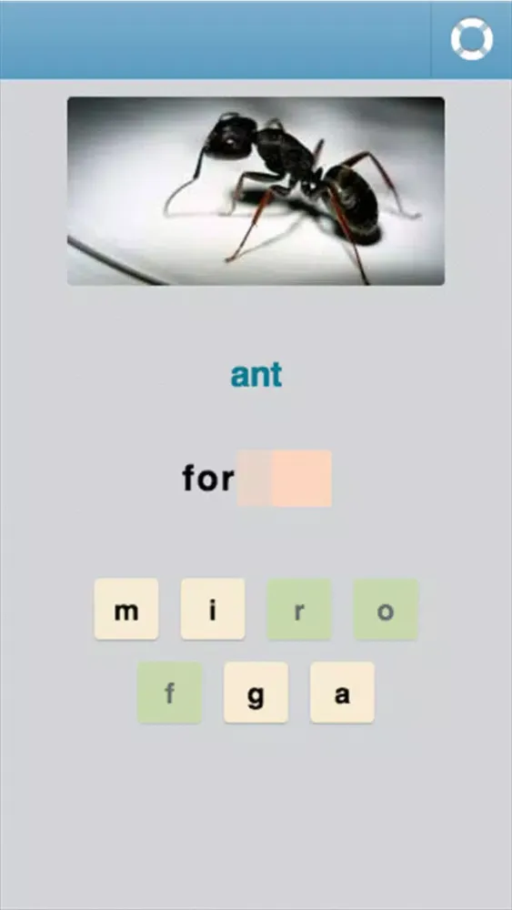 Captures d'écran de Learn Portuguese - 3,400 words