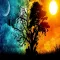 Wallpapers Online