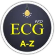 ECG A-Z