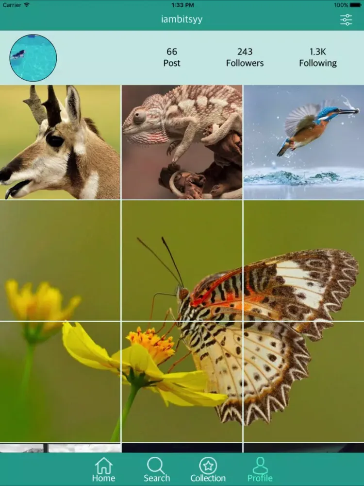 Скриншоты StoryBook Viewer For Instagram iPad 