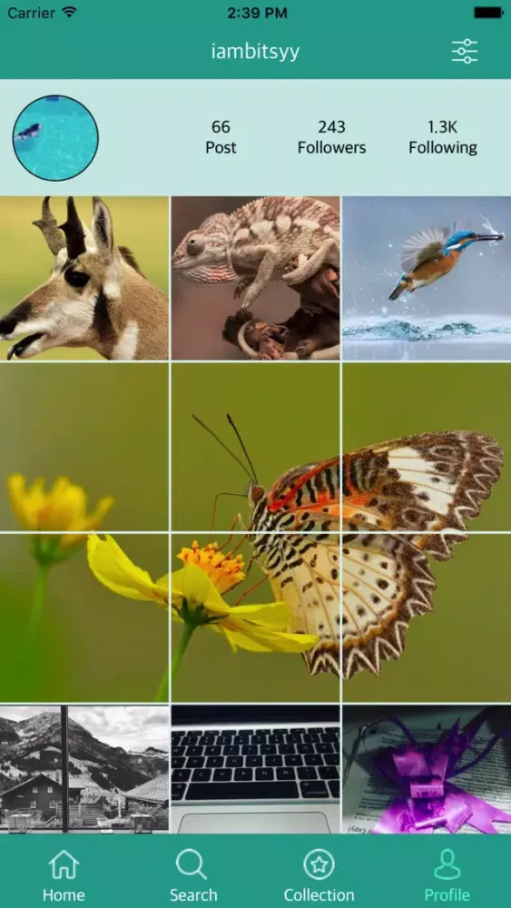 Скриншоты StoryBook Viewer For Instagram
