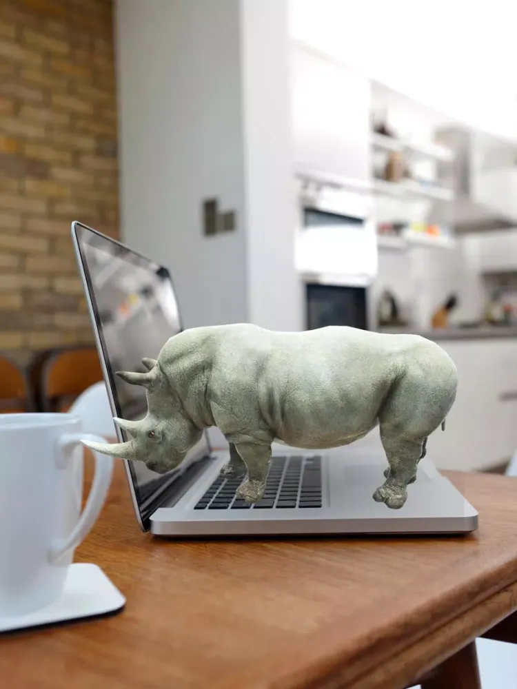 Ảnh chụp màn hình của AR Zoo-Animal World iPad 