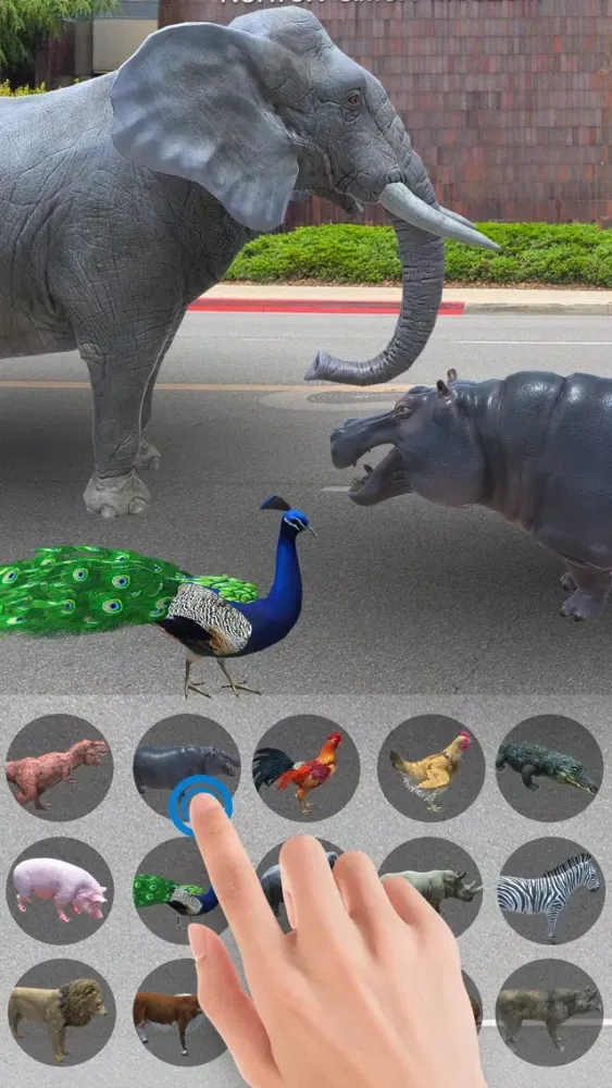 Ảnh chụp màn hình của AR Zoo-Animal World