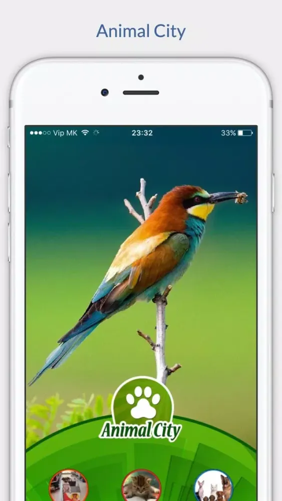 تصاویر Animal City