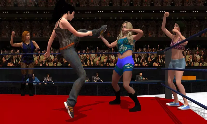 Capturas de pantalla de Women Tag Team Wrestling