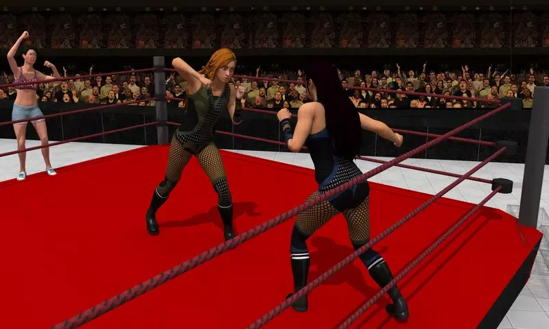 Capturas de pantalla de Women Tag Team Wrestling