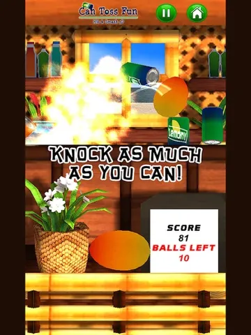 Can Toss Fun - Hit & Smash 3D iPad  스크린샷
