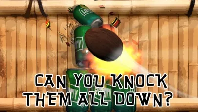 Can Toss Fun - Hit & Smash 3D 스크린샷