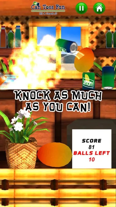 Can Toss Fun - Hit & Smash 3D 스크린샷