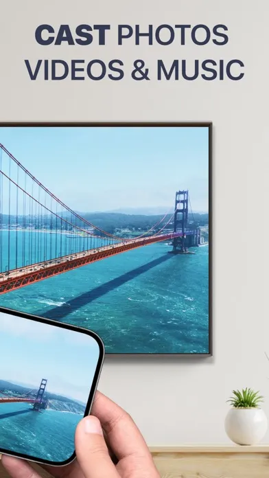 صور Screen Mirroring・Smart View TV