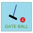 Gate Baro