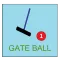 Gate Baro