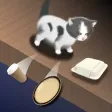 Kitten Chaos Kitten Chaos