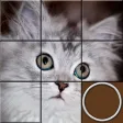 Sliding Puzzles