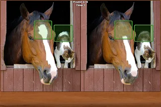 Captures d'écran de Horses Spot the Difference