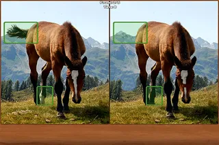 Captures d'écran de Horses Spot the Difference