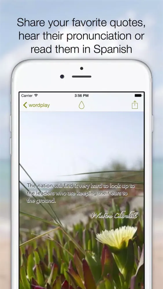 Capturas de pantalla de English Spanish Quotes