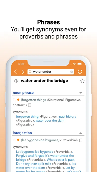 English Thesaurus スクリーンショット