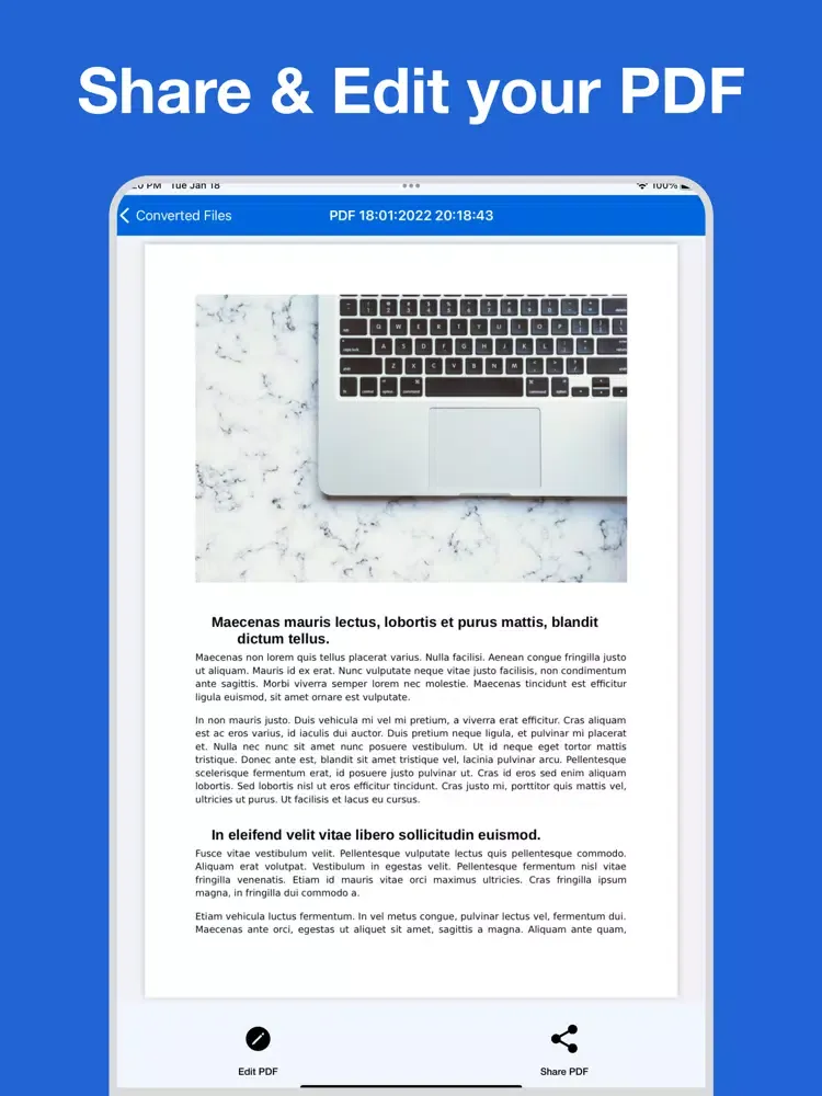 Word To PDF : PDF Converter iPad  Screenshots