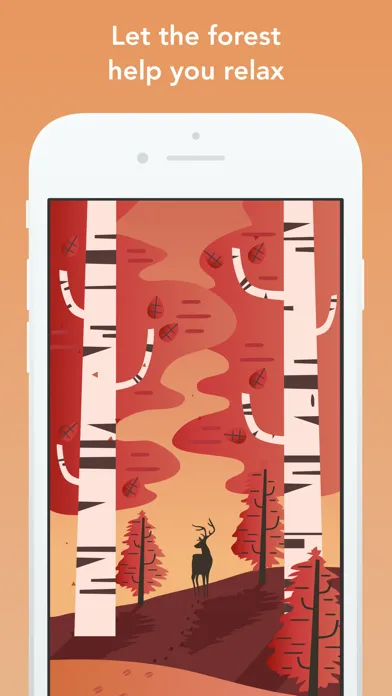 Capturas de tela do Wildfulness: Meditate & Relax