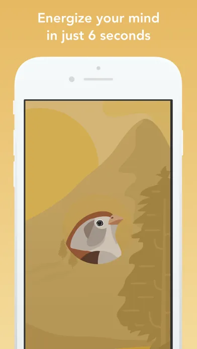 Capturas de tela do Wildfulness: Meditate & Relax
