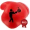 Boxing Challenge Workout PRO