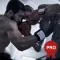 Close Contact Combat Workout PRO