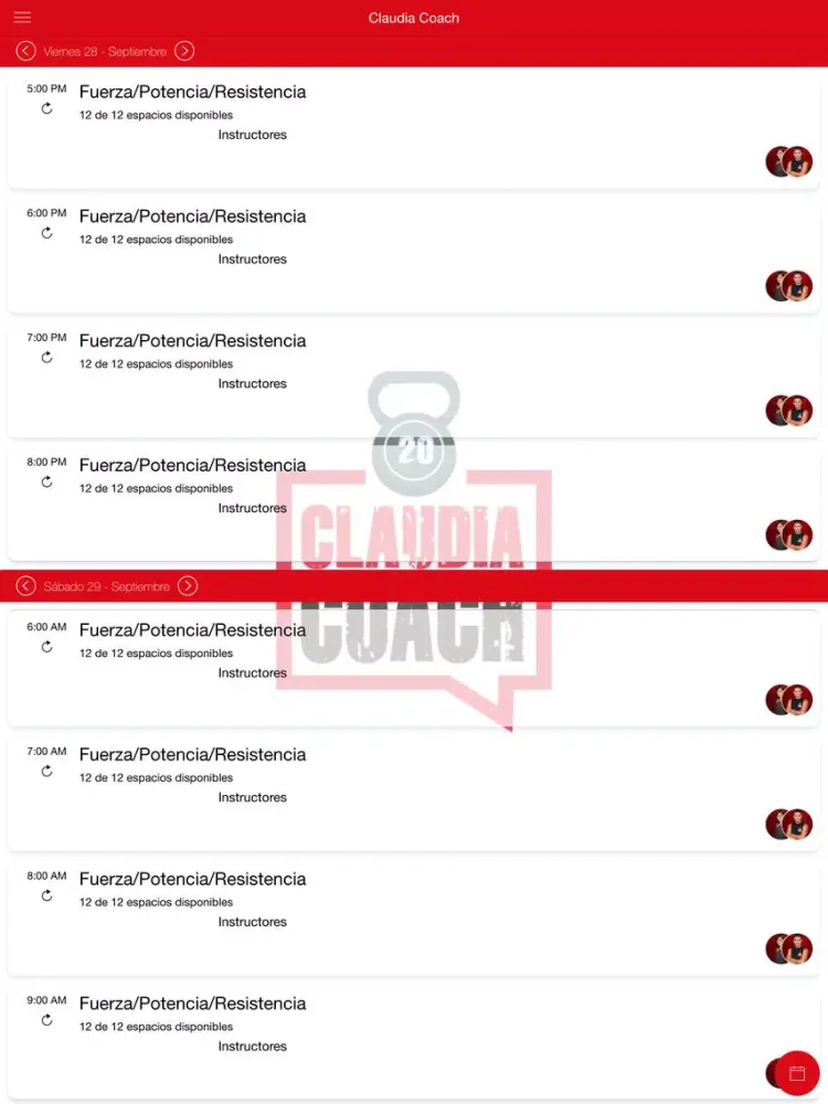 صور Claudia Coach iPad 
