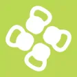 ZenFit 506