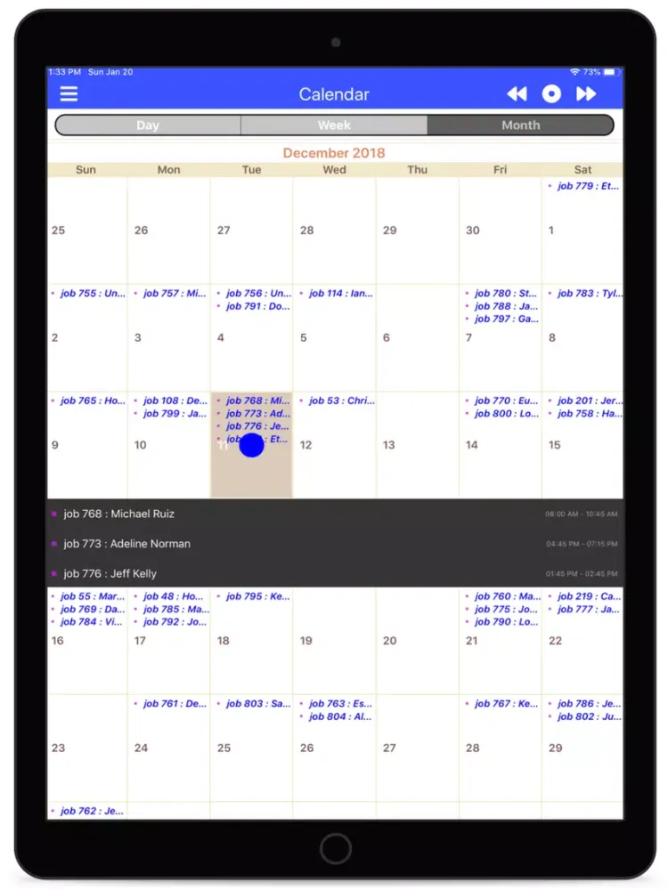 WorkWell Field Service iPad 应用截图