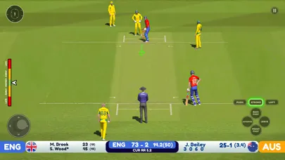 World Cricket Odi Wcc 2024 স্ক্রিনশট