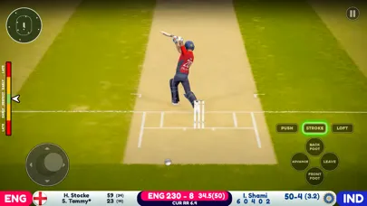 World Cricket Odi Wcc 2024 স্ক্রিনশট
