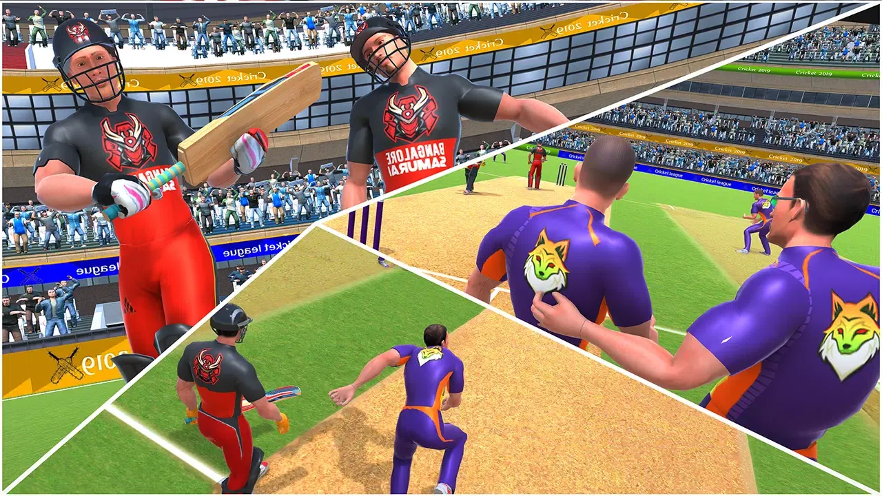 World Cup T20 Cricket: WCCC应用截图