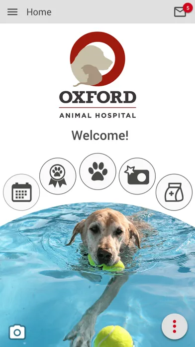 صور Oxford Animal Hospital